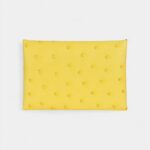 Hermès Calvi Card Holder Jaune Citron Ostrich Palladium Hardware