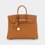Hermès Caramel and Jaune Chèvre Mysore Birkin 25 Gold Hardware