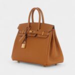 Hermès Caramel and Jaune Chèvre Mysore Birkin 25 Gold Hardware