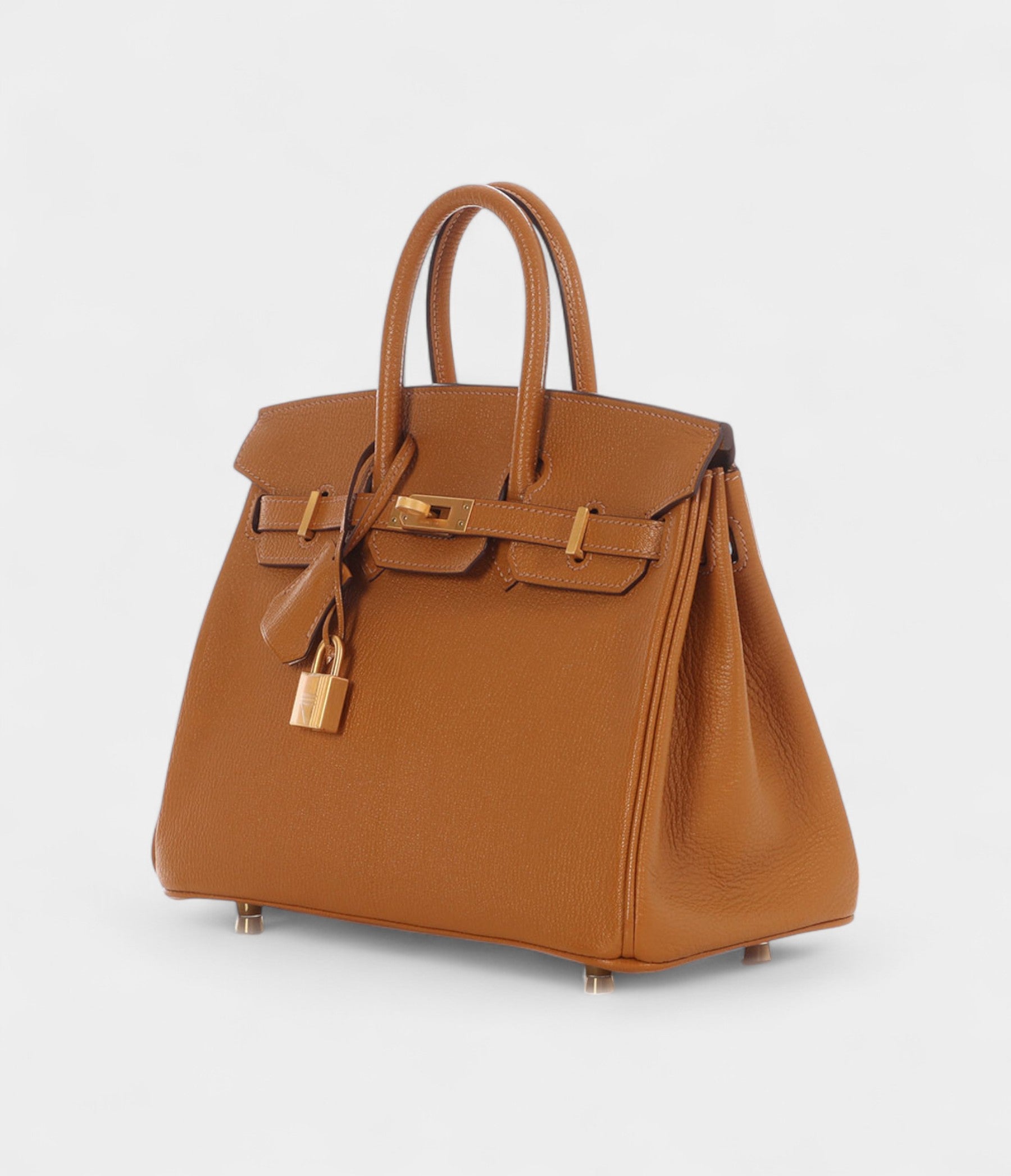 Hermès Caramel and Jaune Chèvre Mysore Birkin 25 Gold Hardware