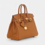 Hermès Caramel and Jaune Chèvre Mysore Birkin 25 Gold Hardware