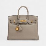 Hermès Gris Asphalt Novillo Birkin 25 Gold Hardware