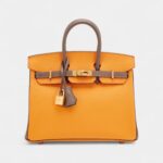 Hermès Jaune D'Or and Etain Bi-Color Epsom Birkin 25 Gold Hardware