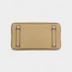 Hermès Limited Edition Biscuit Swift In and Out Birkin 25 Palladium Hardware