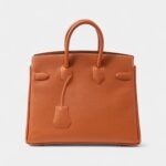 Hermès Limited Edition Gold Swift Shadow Birkin 25