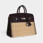 Hermès Picnic Birkin 25 Rouge Sellier Swift Palladium Hardware