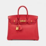 Hermès Rouge Casaque Epsom Birkin 25 Gold Hardware