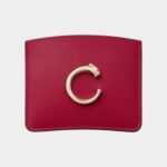 Panthère C de Cartier Elegant Simplicity In Leather