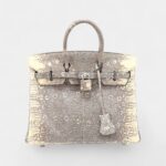Hermès Birkin 25 Cm Handbag In Grey And Beige Lizzard