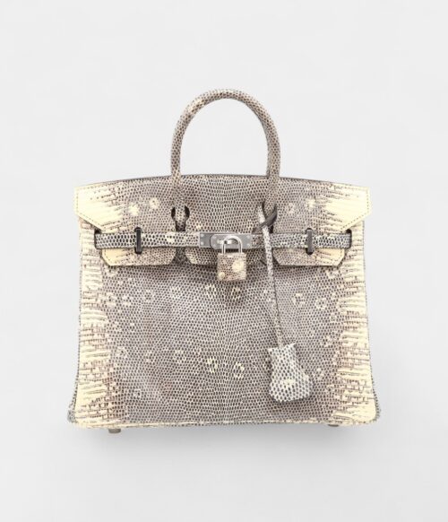 Hermès Birkin 25 Cm Handbag In Grey And Beige Lizzard