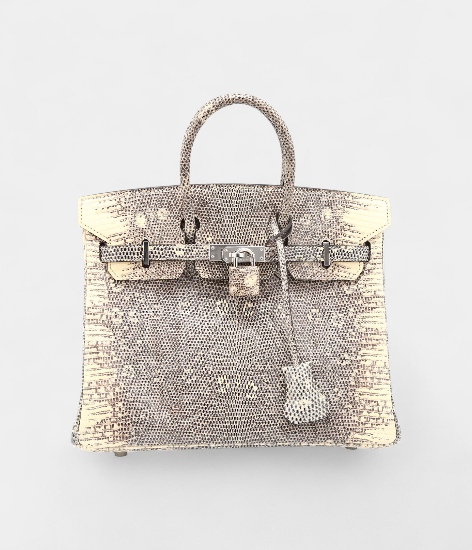 Hermès Birkin 25 Cm Handbag In Grey And Beige Lizzard