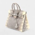 Hermès Birkin 25 Cm Handbag In Grey And Beige Lizzard