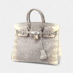 Hermès Birkin 25 Cm Handbag In Grey And Beige Lizzard