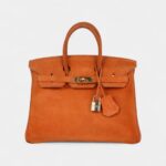 Vintage Hermès Birkin 25 Orange Doblis Gold Hardware