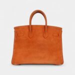 Vintage Hermès Birkin 25 Orange Doblis Gold Hardware