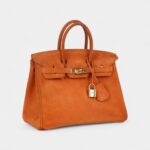 Vintage Hermès Birkin 25 Orange Doblis Gold Hardware