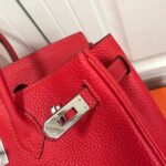 Birkin 30 by Hermès A Legacy of Statement of Artistry